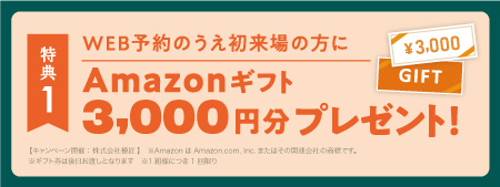 宇都宮インターパーク展示場新モデルハウスオープンキャンペーン
WEB予約のうえ初来場の方にAmazonギフト3000円分プレゼント