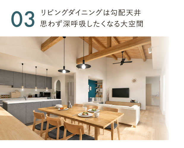 【笠間市笠間】「大空間リビングの平屋」完成見学会　見どころ3