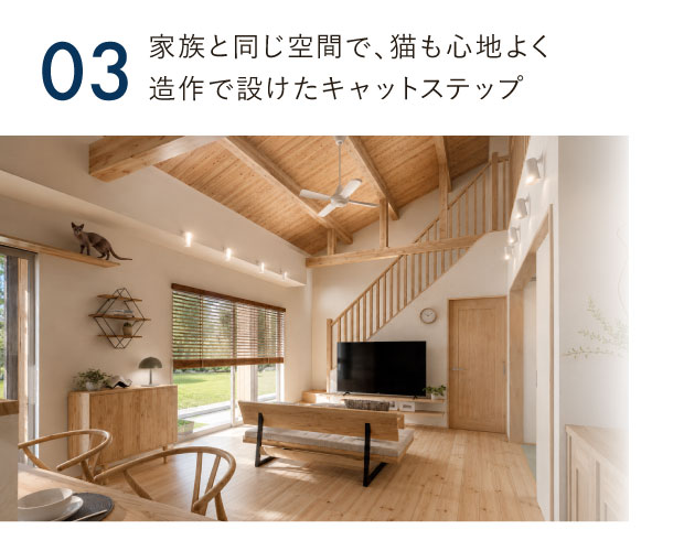 【日立市日高町】「猫と暮らす平屋」完成見学会　見どころ3